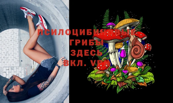 гидропоника Бугульма