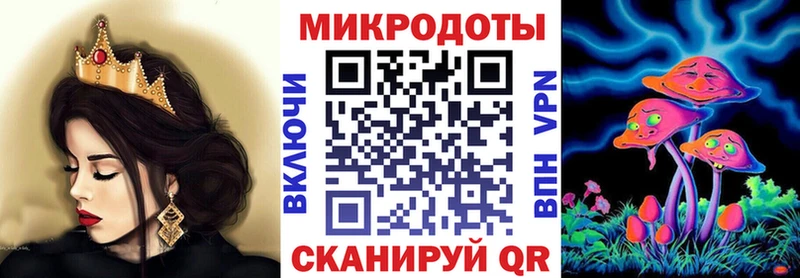 KRAKEN вход  Бузулук  Галлюциногенные грибы Cubensis 